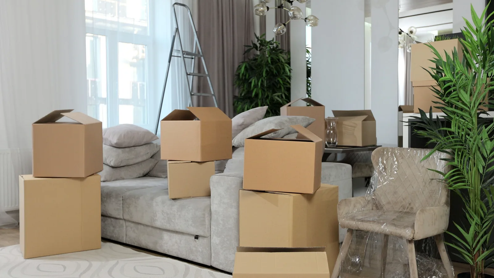 How To Compare Flat Pack Furniture Delivery Options